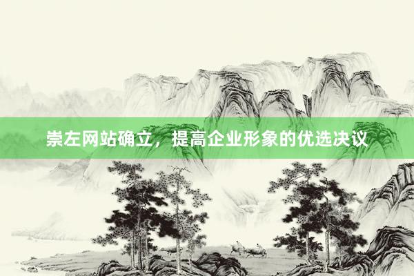 崇左网站确立，提高企业形象的优选决议