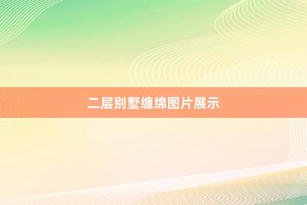 二层别墅缠绵图片展示