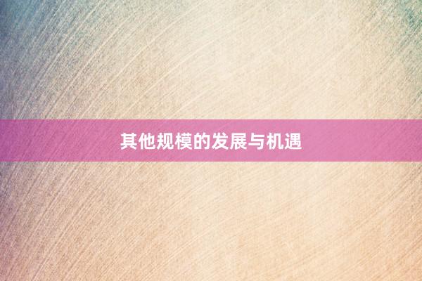 其他规模的发展与机遇