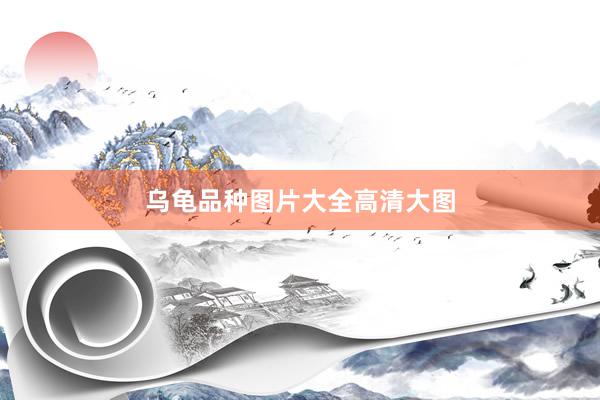 乌龟品种图片大全高清大图